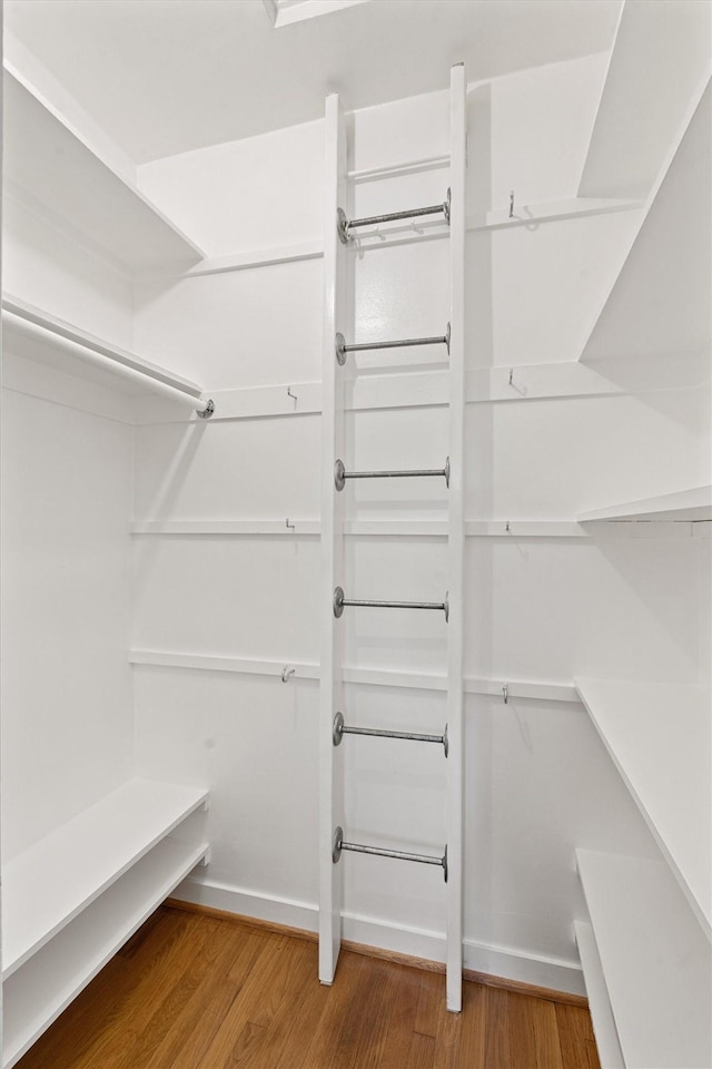 walk in closet featuring wood finished floors
