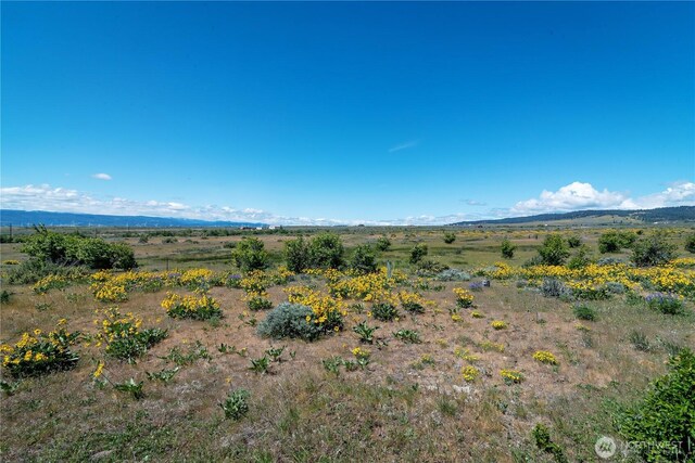 221 Upper Green Canyon Rd, Ellensburg, WA 98926 - photo 37