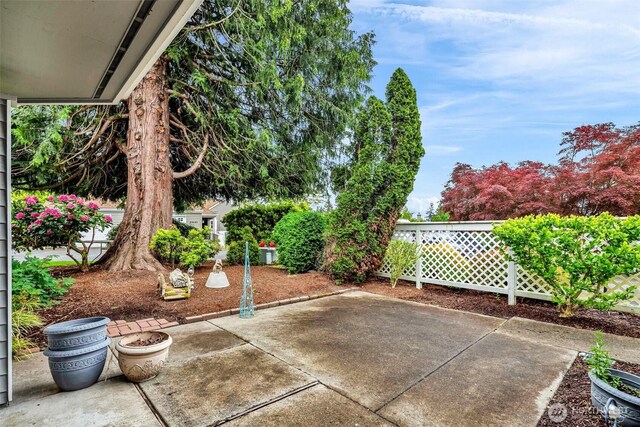 22451 SE 42nd Ter Unit 1181, Issaquah, WA 98029 - photo 32