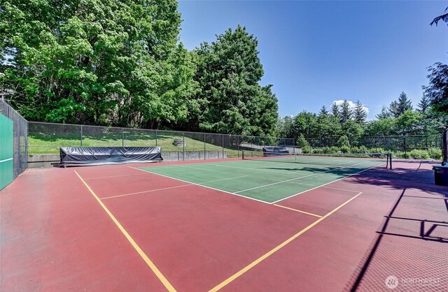 22451 SE 42nd Ter Unit 1181, Issaquah, WA 98029 - photo 34