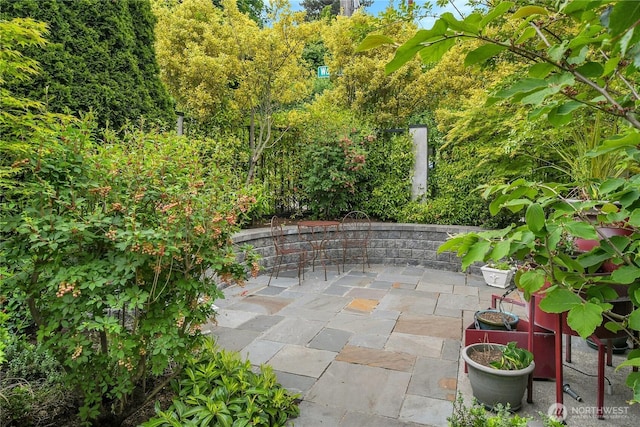 922 Nob Hill Ave N, Seattle, WA 98109 - photo 5