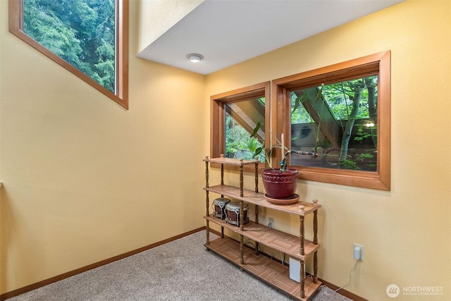 6206 SW Tiger Tail Dr, Olympia, WA 98512 - corridor featuring carpet floors and baseboards