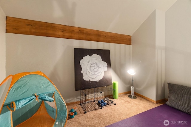 6206 SW Tiger Tail Dr, Olympia, WA 98512 - interior space featuring carpet and baseboards