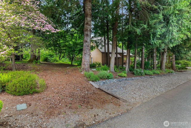 6206 SW Tiger Tail Dr, Olympia, WA 98512 - view of yard