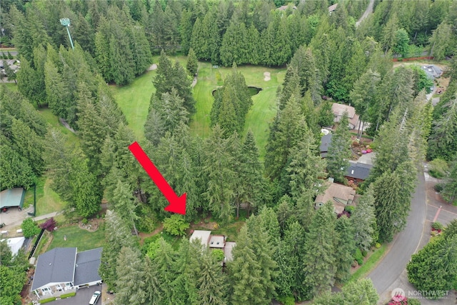 6206 SW Tiger Tail Dr, Olympia, WA 98512 - view of property location