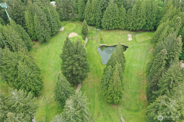 6206 SW Tiger Tail Dr, Olympia, WA 98512 - aerial view of property's location with a local golf course and a large body of water