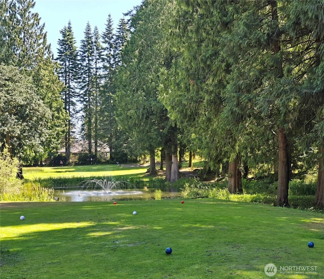 6206 Tiger Tail Dr SW, Olympia, WA 98512 - photo 3