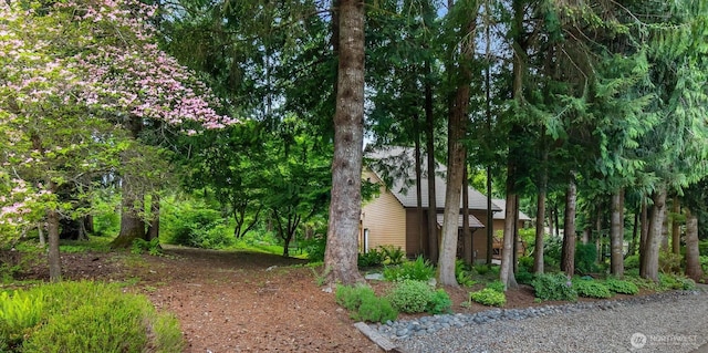 6206 Tiger Tail Dr SW, Olympia, WA 98512 - photo 36