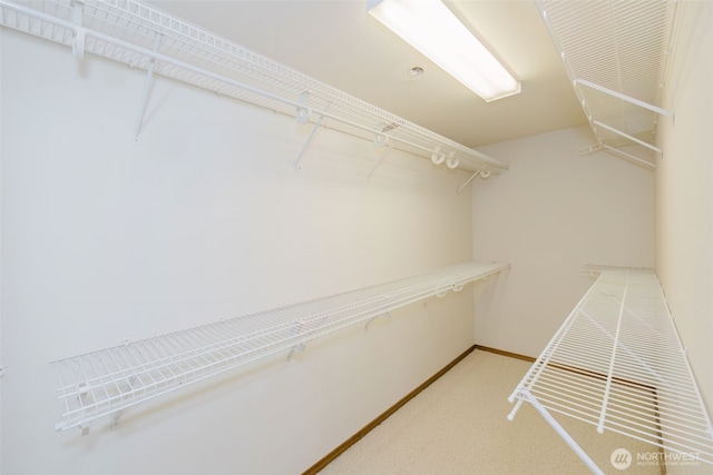 walk in closet featuring carpet