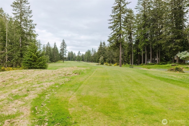 view of community with a lawn