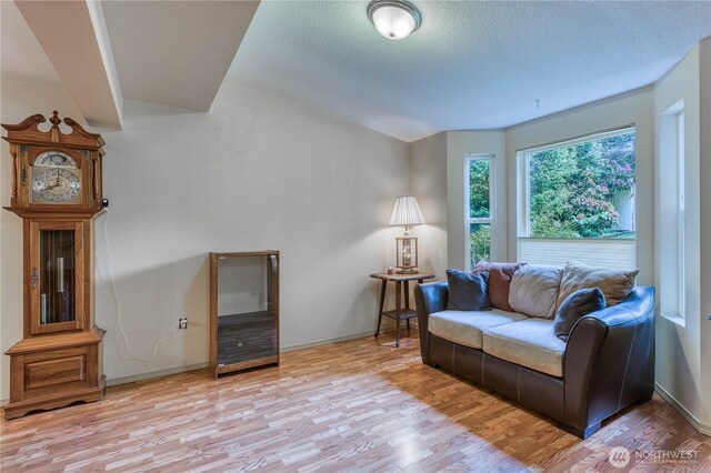 20282 NW Cedar Ln, Poulsbo, WA 98370 - living room featuring light wood finished floors, baseboards, and a textured ceiling