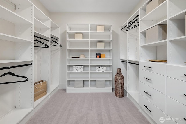 43268 SE 145th Pl, North Bend, WA 98045 - walk in closet featuring carpet