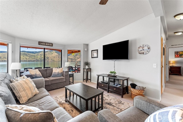 34 Leisure Ln, Manson, WA 98831 - living area featuring a textured ceiling, light carpet, and baseboards