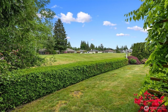 7521 Sterling Pl, Arlington, WA 98223 - view of green lawn featuring a residential view