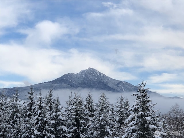 view of mountain background