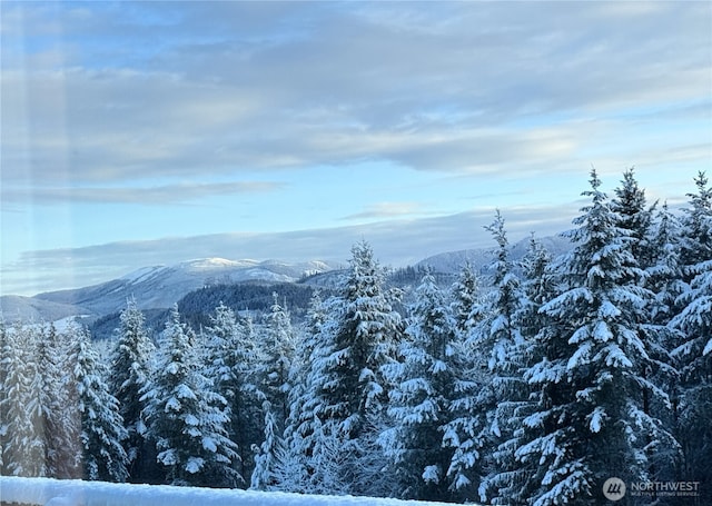 mountain view with a forest