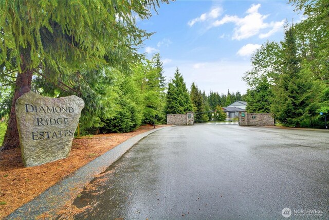 view of asphalt road featuring a gate
