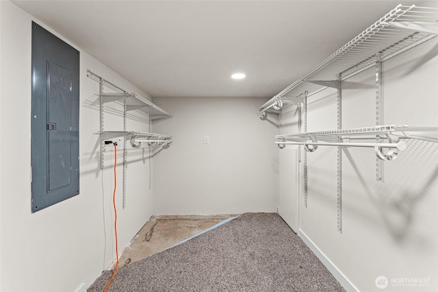 21 Hexon Rd, Selah, WA 98942 - walk in closet with electric panel and carpet floors