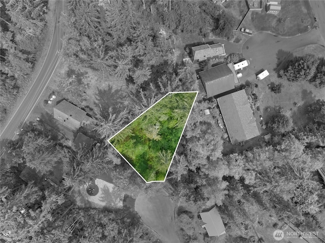 958 Washoe Ct SE, Ocean Shores, WA 98569 - photo 3