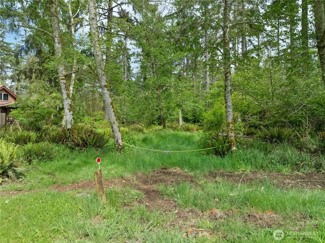 958 Washoe Ct SE, Ocean Shores, WA 98569 - photo 1