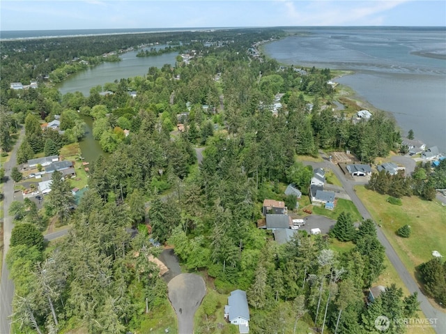 958 Washoe Ct SE, Ocean Shores, WA 98569 - photo 6