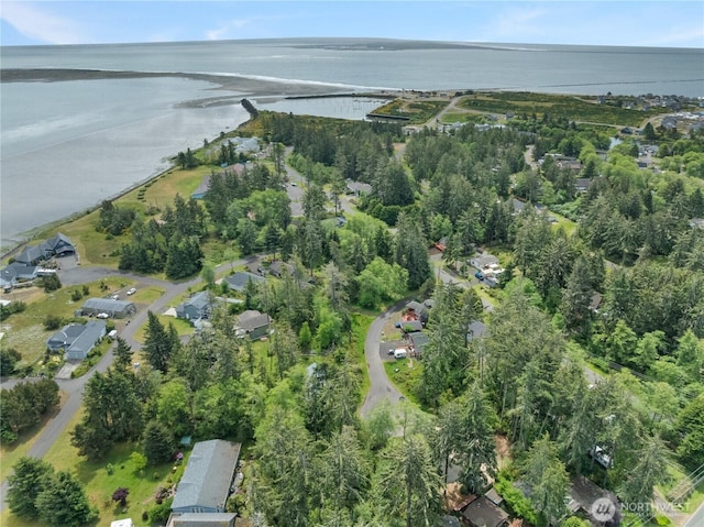 958 Washoe Ct SE, Ocean Shores, WA 98569 - photo 10