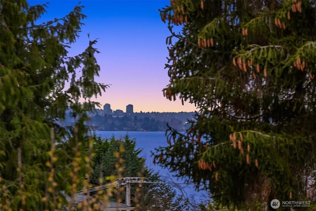 2249 78th Ave SE, Mercer Island, WA 98040 - water view