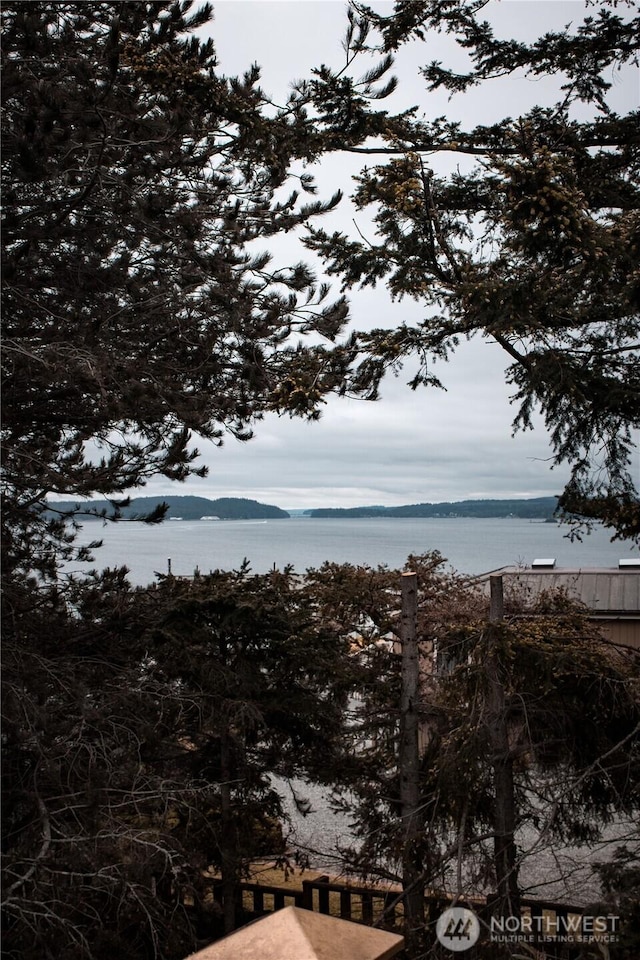 149 Sheridan St, Port Townsend, WA 98368 - view of mountain backdrop featuring a large body of water