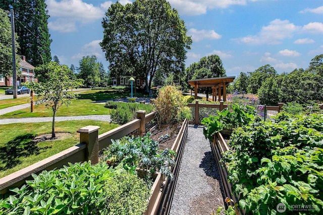4404 Montana Cir W, Seattle, WA 98199 - view of grassy yard featuring a vegetable garden