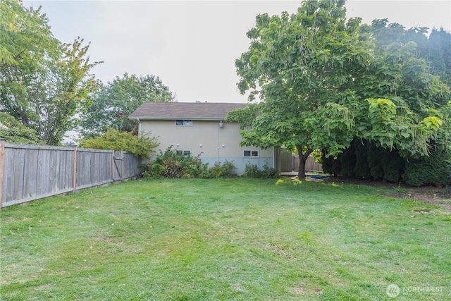 2010 13th Ave NW, Puyallup, WA 98371 - view of yard