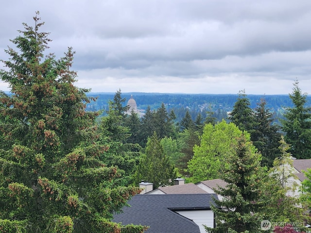water view featuring a forest