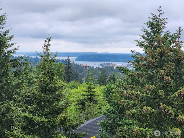 water view featuring a forest