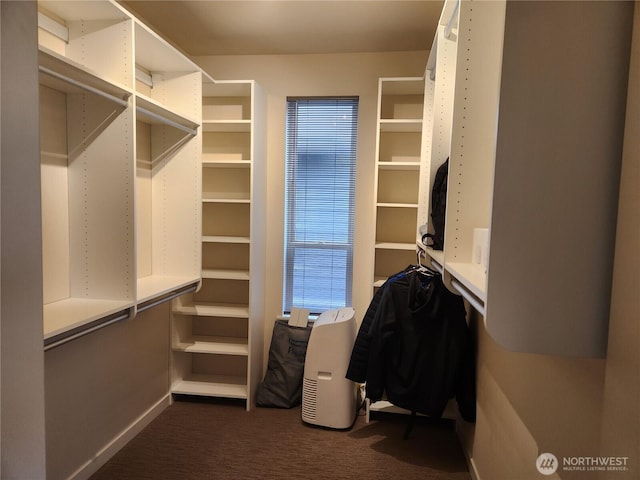 spacious closet with dark carpet