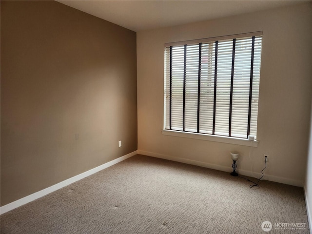 carpeted spare room with healthy amount of natural light and baseboards
