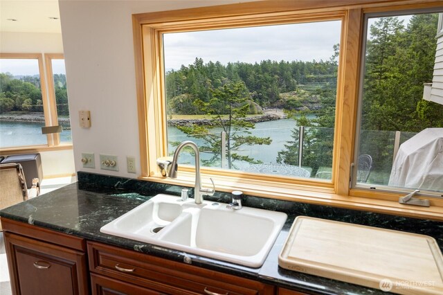kitchen featuring a sink, a water view, and a view of trees