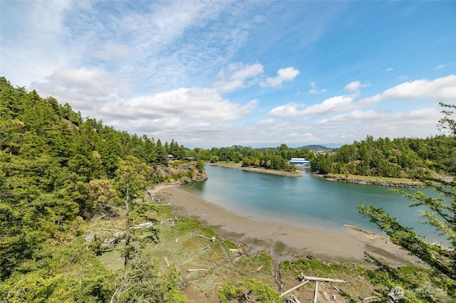 water view featuring a forest