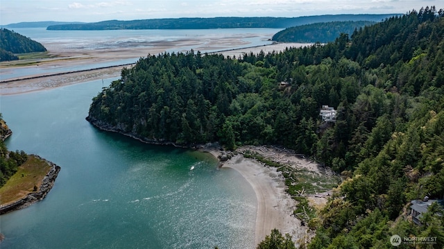 view of property location featuring a heavily wooded area and a nearby body of water
