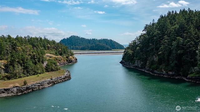 water view featuring a forest