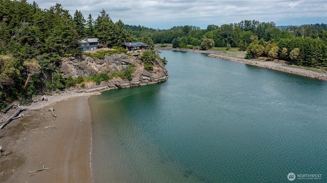 water view with a heavily wooded area