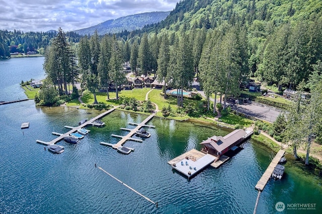 990 Lake Whatcom Blvd Unit 11, Sedro Woolley, WA 98284 - bird's eye view of a heavily wooded area and a large body of water