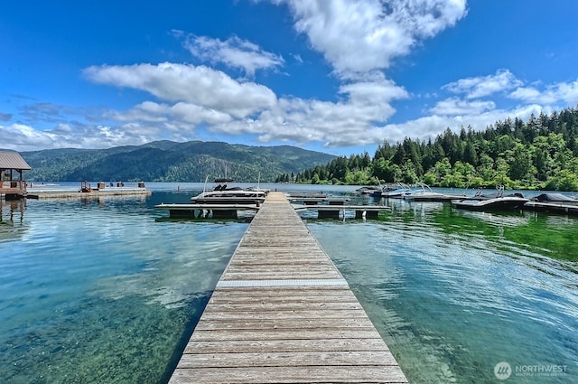 990 Lake Whatcom Blvd Unit 11, Sedro Woolley, WA 98284 - dock area featuring a water and mountain view