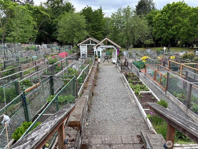 4105 Providence Point Dr SE, Issaquah, WA 98029 - view of yard featuring a garden