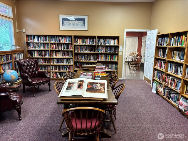 4105 Providence Point Dr SE, Issaquah, WA 98029 - living area with bookshelves and carpet floors