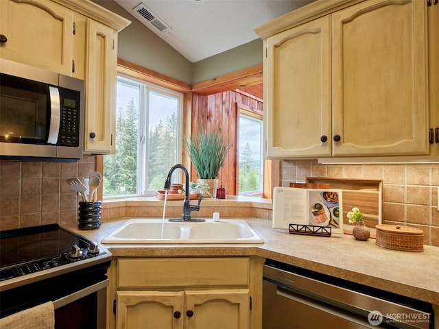 13708 401st Way, Amboy, WA 98601 - kitchen featuring appliances with stainless steel finishes, a sink, healthy amount of natural light, lofted ceiling, and light countertops