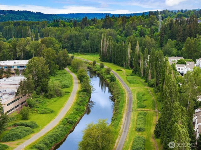 15874 NE 93rd Way Unit 1501, Redmond, WA 98052 - photo 31