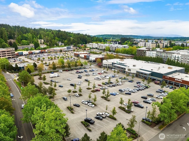 15874 NE 93rd Way Unit 1501, Redmond, WA 98052 - photo 33