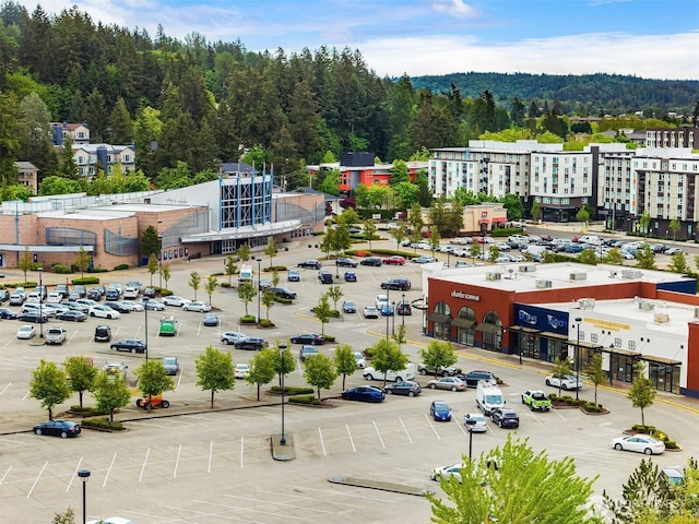 15874 NE 93rd Way Unit 1501, Redmond, WA 98052 - photo 32