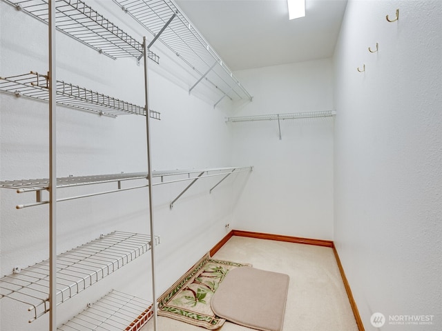 407 NE 136th Way, Vancouver, WA 98685 - photo 28