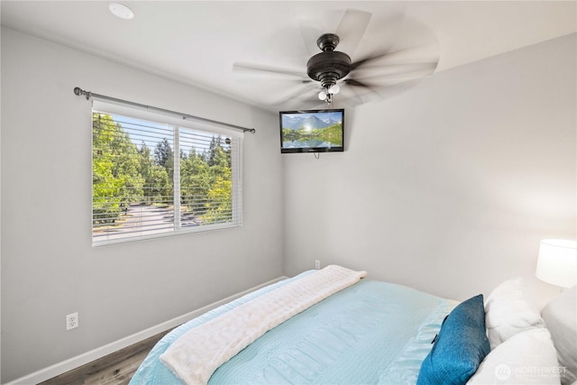 23603 SE 267th Pl, Maple Valley, WA 98038 - photo 22
