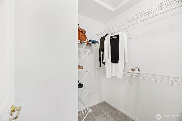 4133 156th St SW Unit 7, Lynnwood, WA 98087 - walk in closet with carpet floors